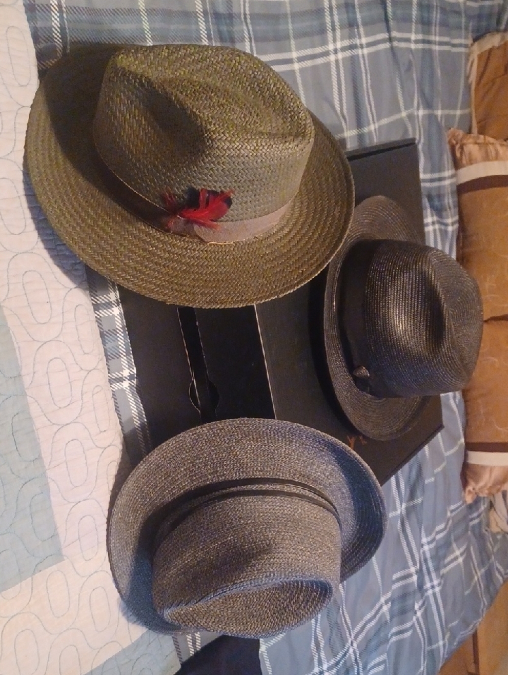 3 Pack Men's Straw Fedoras with Band and Feather Accent